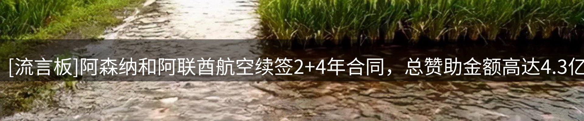 新闻资讯